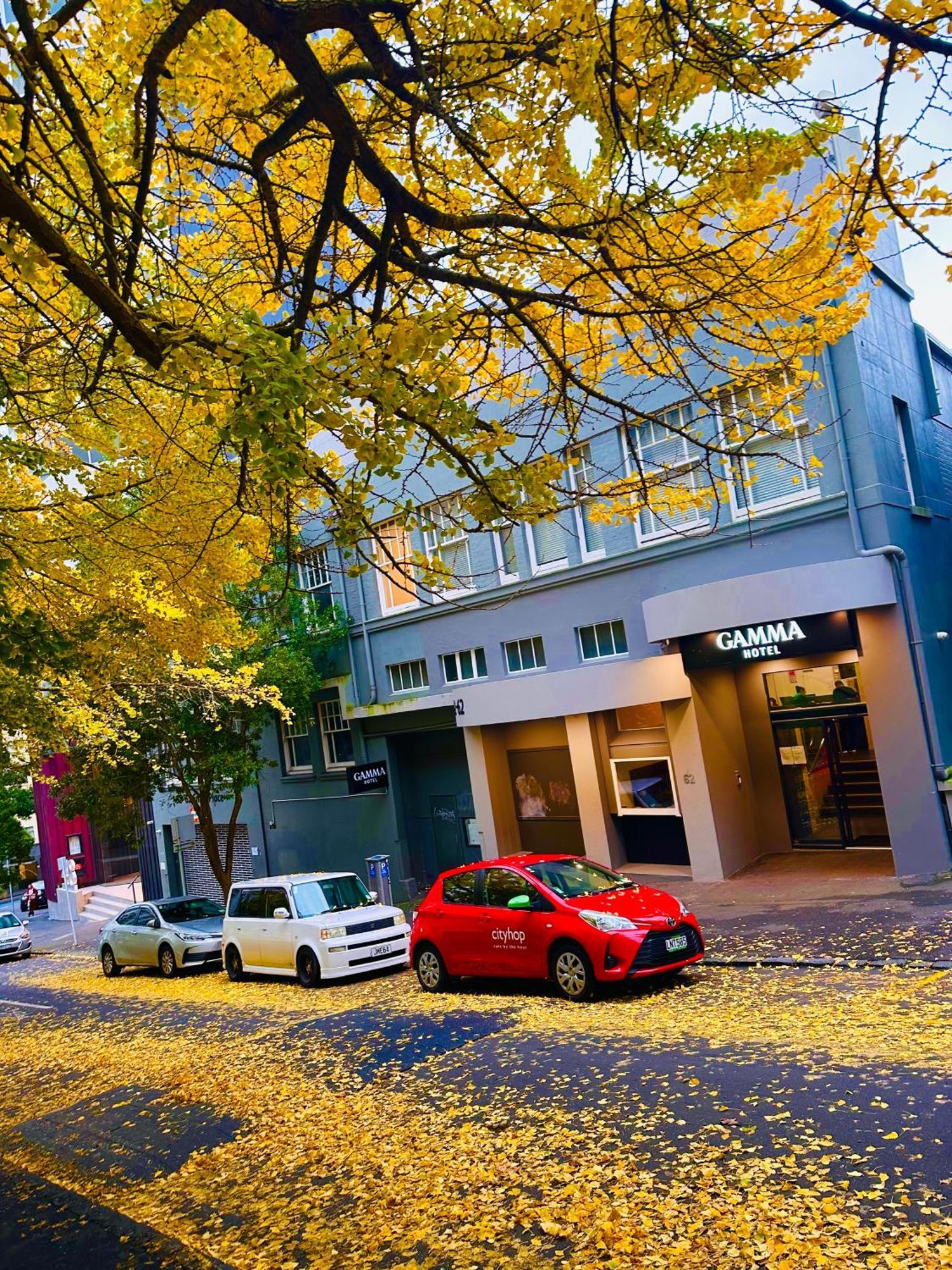 Gamma Hotel 奥克兰 外观 照片